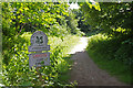 SJ8678 : The National Trust - Alderley Edge by Stephen McKay