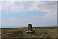 SD5648 : Trig Point on Hazelhurst Fell (2) by Chris Heaton