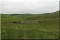 NT9413 : Sheep pens above the Sting Burn by Graham Robson