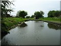 SO9587 : Narrows at the toll house, Dudley No 2 Canal by Christine Johnstone