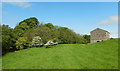 NY7708 : Field barn by the River Eden by Andy Waddington