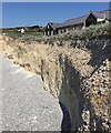 TV5595 : Eroding cliff below the café, Birling Gap by Robin Stott