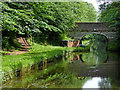 SJ8612 : Lapley Wood Bridge near Wheaton Aston, Staffordshire by Roger  D Kidd