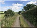 SJ8151 : Farm track near Diglake by Jonathan Hutchins