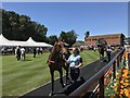 TL6161 : Horses in the parade ring at The July Course, Newmarket by Richard Humphrey