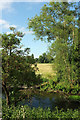 SU1130 : River Nadder at Bemerton by Derek Harper