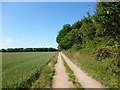 NO5911 : Track between Cambo and Kingsbarns by Alan O'Dowd