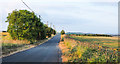 NZ1955 : Low-angled sunshine across minor road by Trevor Littlewood