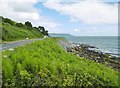 D3016 : Glenarm, coastline by Mike Faherty