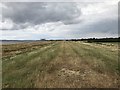 ST5991 : Severn Way on the flood bank by don cload