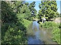 TQ5263 : River Darent at Castle Lavender Farm by Marathon