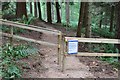 NT2938 : New path and sign, Cardrona Forest by Jim Barton