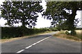 TM3666 : Lintotts Road, Kelsale by Geographer