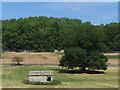 SE0790 : Laithe near the railway, Preston-under-Scar by Stephen Craven