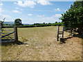 SE1189 : Gate and stile by Stephen Craven