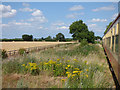 SE2990 : Wensleydale Railway - end of the running line by Stephen Craven