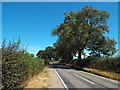 SP7367 : Brampton Lane near Pitsford by Malc McDonald