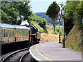 SX8956 : Steam Train Leaving Churston by David Dixon