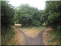 SP7575 : Brampton Valley Way at Lamport station site by Malc McDonald