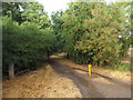 SP7474 : Brampton Valley Way at Houghton Crossing by Malc McDonald