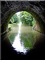 SP5972 : Crick Tunnel north portal in Northamptonshire by Roger  D Kidd