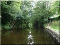 SE3967 : Milby Cut, River Ure, looking east by Christine Johnstone