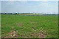 SJ6618 : Farmland south of Cherrington by Philip Halling