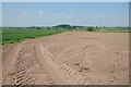 SJ6618 : Farmland near Rodway Manor by Philip Halling