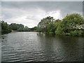 SE3367 : The unnavigable River Ure, looking upstream by Christine Johnstone