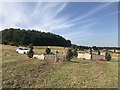 SK1426 : Cross-country fences at Eland Lodge Horse Trials by Jonathan Hutchins