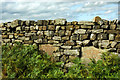 NZ7604 : Memorial stones built into wall by Mick Garratt