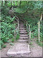 SK1985 : Footpath to Parkin Clough by JThomas