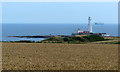 NZ3475 : Lighthouse on St Mary's Island by Mat Fascione