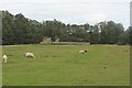 NU2003 : Brainshaugh Priory remains by Graham Robson