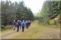 NT1934 : Walkers in Hallmanor Forest by Jim Barton