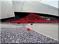 SJ8097 : Poppies at Imperial War Museum North by David Dixon