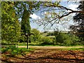 SU9941 : Footpath signpost in Winkworth Arboretum by Graham Hogg