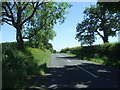 NZ1522 : Minor road towards Hilton by JThomas