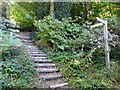 SU9940 : Stepped path to Sorbus Hill by Graham Hogg