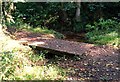 SU8034 : Footbridge in Deadwater Valley LNR, Bordon, Hampshire - 170918 by John P Reeves