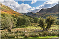 NY1717 : Up Buttermere by Ian Capper