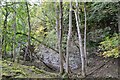 NT3762 : Quarry face below Hagbrae by Jim Barton