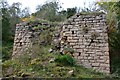 NT3761 : Old lime kiln below Hagbrae (2) by Jim Barton