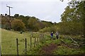 NT3761 : Rough pasture near Colegate Bridge by Jim Barton