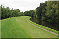 SO8378 : Embankment by the Staffordshire & Worcestershire Canal by Bill Boaden