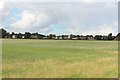 NZ3861 : Field on the south edge of Cleadon by Graham Robson