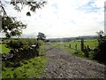 NZ1349 : Farm entrance road by Robert Graham