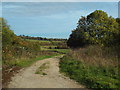 TQ5351 : Greensand Way near Sevenoaks Weald by Malc McDonald