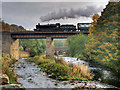 SD7915 : River Irwell, Brooksbottoms Viaduct by David Dixon