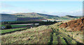 NO3841 : Hill road on slope descending to Glen Ogilvie by Trevor Littlewood